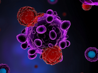 Researchers explore potential new target for cancer immunotherapy