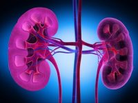 Scientists regenerate kidneys to reverse diabetes damage in mice