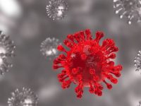 Covid’s Omicron Variant, Thought to Be Milder, Can Increase Risk for Diabetes