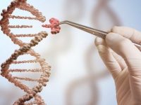 395 genes found to be differently expressed in people with type 2 diabetes