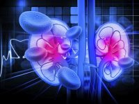 Kidney Fat in Type 2 Diabetes and Diabetic Kidney Disease