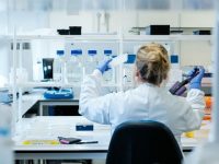Molecular mechanism involved in type 2 diabetes: Research
