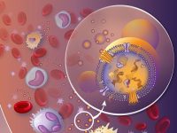 The Cancer Diagnosis Paradox