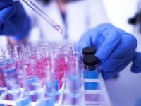 Bladder cancer: New test may help predict disease years before symptoms