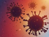 Interferon autoantibodies not implicated in long-COVID