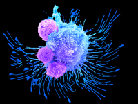 3D Printing the Way to New Cancer Treatments