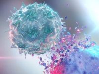 Why do some immunotherapies fail to kill cancer?