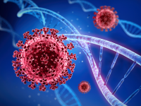 Chromosomal breakage caused by virus can lead to cancer: Study reveals