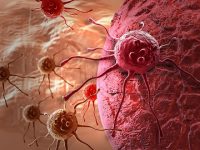 Unexpected discovery could inspire new strategies for preventing liver disease and cancer
