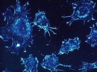 A new battery starves cancer cells of oxygen in mice