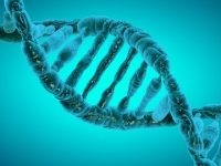 Understanding the Role of Epigenetics in Cancer