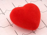 Shape of heart can impact heart diseases: Research