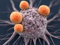 Is Obesity Linked To Cancer? Explains Gastroenterologist