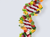 Precision nutrition vs. low-fat diet: No significant difference in diabetes management
