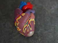 AI algorithm could soon be used to rapidly diagnose heart attacks with better accuracy