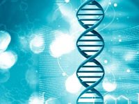 SickKids researchers discover new way to attack treatment-resistant TB infections