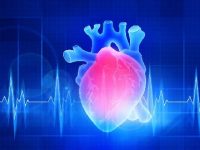 Aortic Valvulopathy: What Is It?