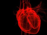Heart Failure: Is Reversal Of Cardiac Amyloidosis Possible?