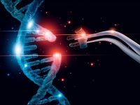 New insights into dendritic cell biology could lead to improved cancer therapies