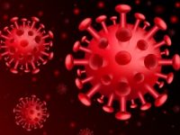 High tumor monocyte content linked to better outcomes for esophageal cancer patients