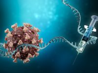 Rockefeller researchers reveal the mechanisms behind malignant turn of events in cancer