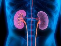New urine biomarker may help predict diabetic kidney disease