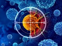 Epigenetic Mechanisms in Type 2 Diabetes