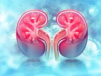 High Cholesterol Side Effects: Here’s How Excessive Bad Cholesterol Affects Your Kidneys