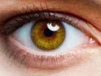 Artificial intelligence for the early detection of ectatic corneal diseases