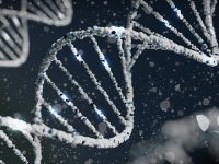 New blood test pinpoints Parkinson’s disease through mitochondrial DNA damage