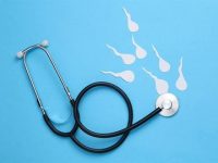 Evidence reveals ferroptosis’s critical role in male reproductive health