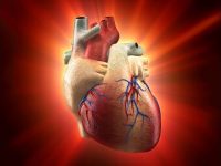 New Syndrome Identified that Links Heart Disease, Metabolic Disorders, and Kidney Disease