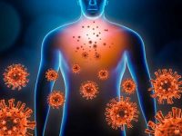 Incendiary by nature: connecting inflammation and cancer complexity