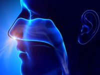 Should You Fly with a Sinus Infection?